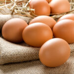 So kommt das Bio ins Ei ─ Geflügelprodukte mit Siegel