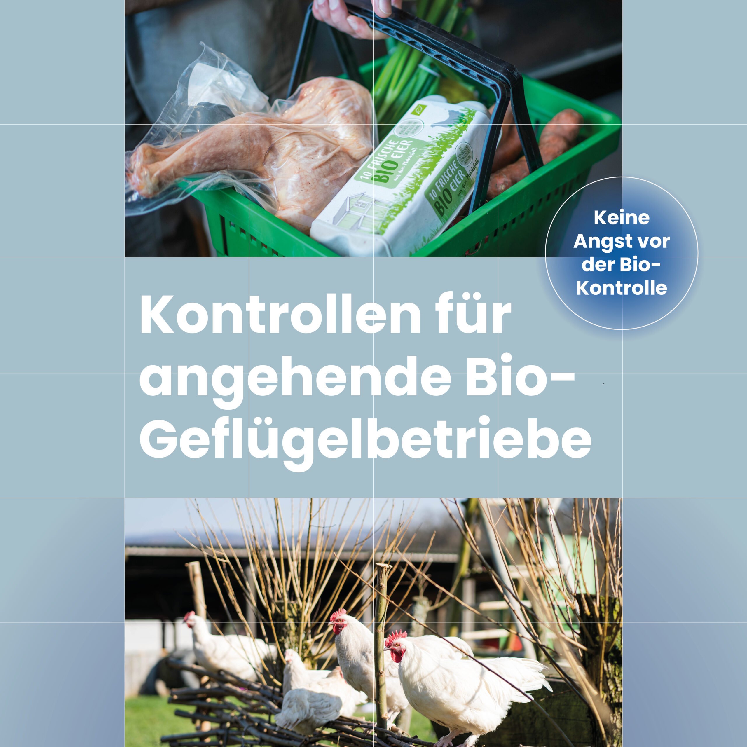 Im Fokus: Kontrollen für angehende Bio-Geflügelbetriebe