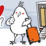 Auf´s Huhn kommen: Hühner mieten & Hühnerpatenschaft