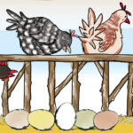 Farbenfrohe Eiervielfalt: „Welche Farbe legst du so?“