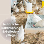 Stichwort Tierwohl: Natürliche Milbenbekämpfung & -prophylaxe