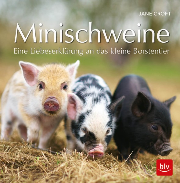 Buch „Minischweine“ – Eine Liebeserklärung an das kleine Borstentier