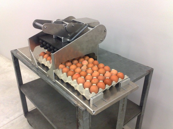 Eierstempel für 30 Eier - zur Eierkennzeichnung in drei Einschubvarianten (Egg-Flex)