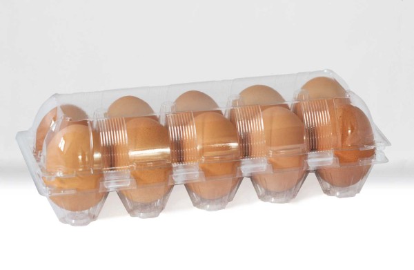 600 Stück 10er Eierschachteln aus PET